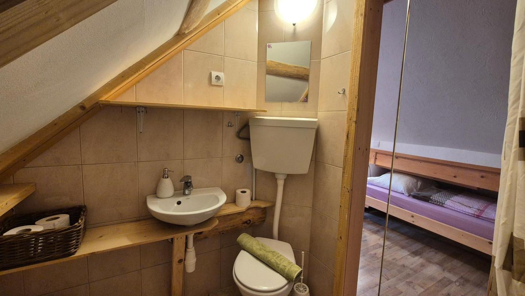 Apartments Cebelica ボーヒニ エクステリア 写真