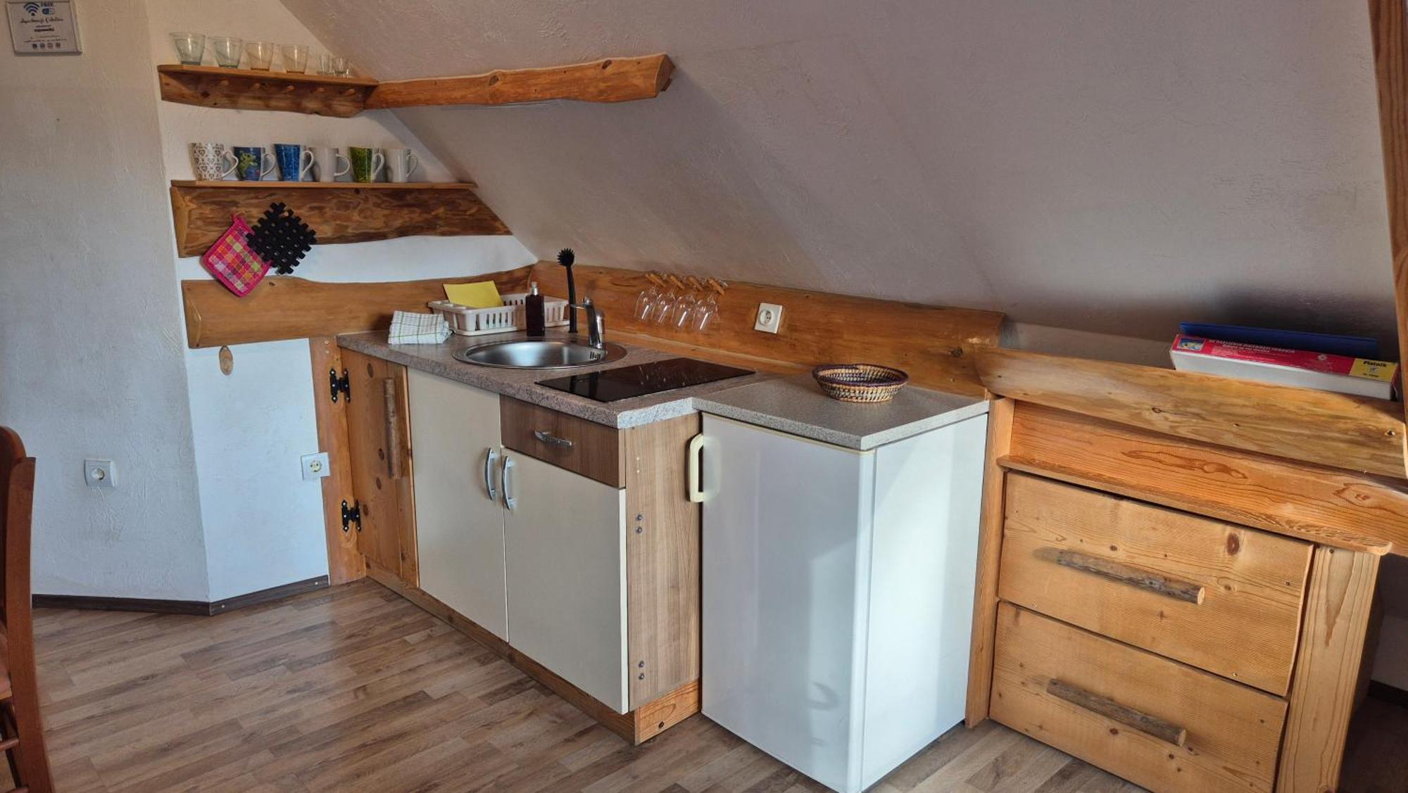 Apartments Cebelica ボーヒニ エクステリア 写真